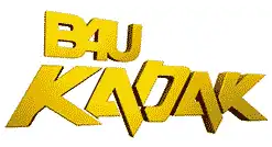 B4U Kadak Channel