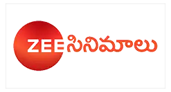 Zee Cinemalu Channel